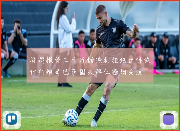 海鸥报价三千万镑热刺拒绝出售武什科维奇巴萨国米拜仁密切关注