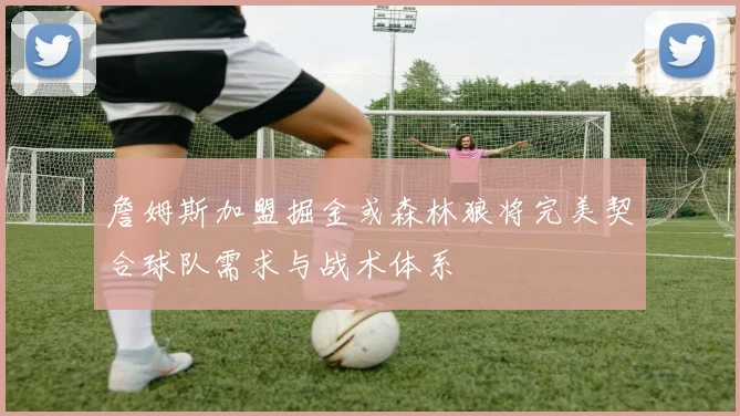 詹姆斯加盟掘金或森林狼将完美契合球队需求与战术体系